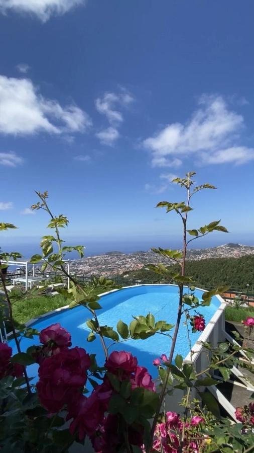 Studio Geek Villa - Open Space - 5M From 5 Top Attractions - Pool All Year Round, Dining Pergola, Barbecue - Funchal Matrix Holiday Home Εξωτερικό φωτογραφία